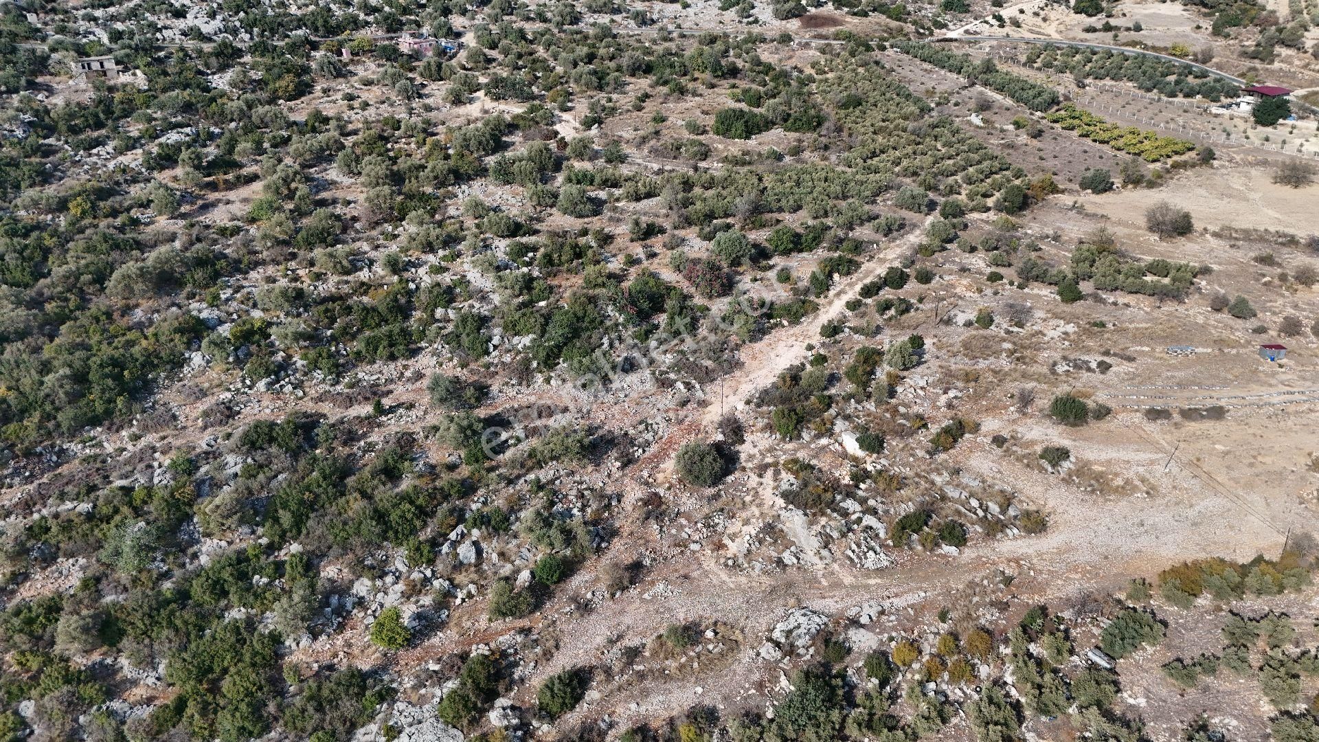 Ra Gayrimenkul Meşelik Mah. 14.659 M Satılık Tarla Ve Zeytinlik - Görsel 32
