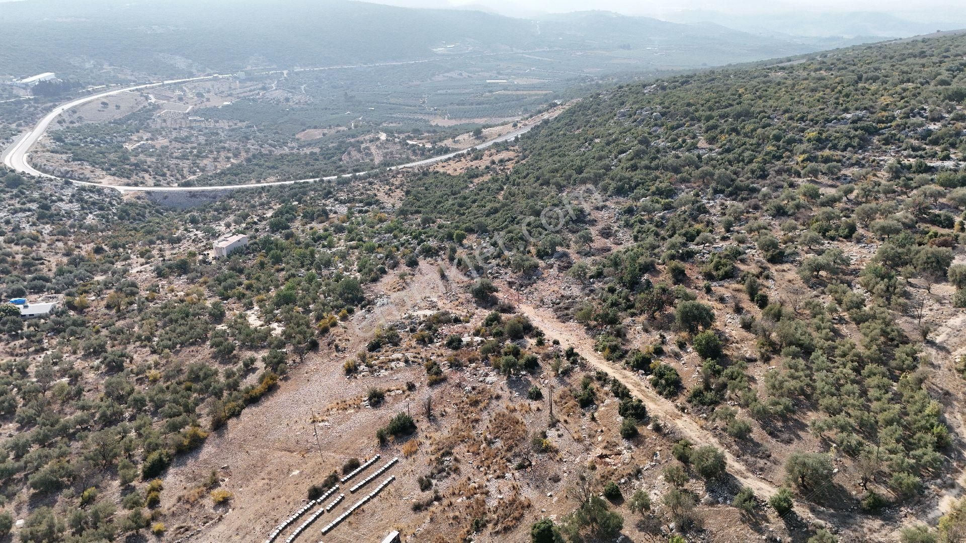 Ra Gayrimenkul Meşelik Mah. 14.659 M Satılık Tarla Ve Zeytinlik - Görsel 18