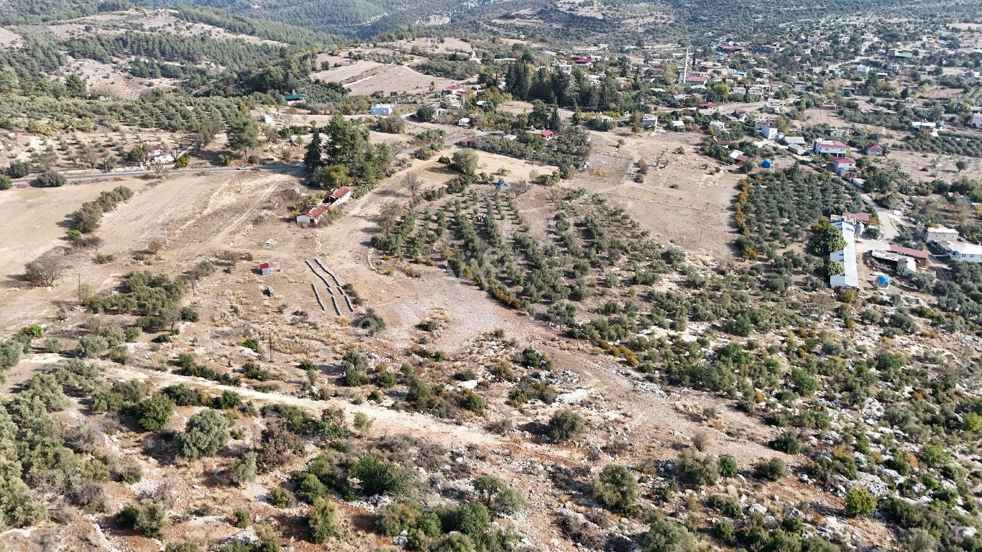 Ra Gayrimenkul Meşelik Mah. 14.659 M Satılık Tarla Ve Zeytinlik - Görsel 24