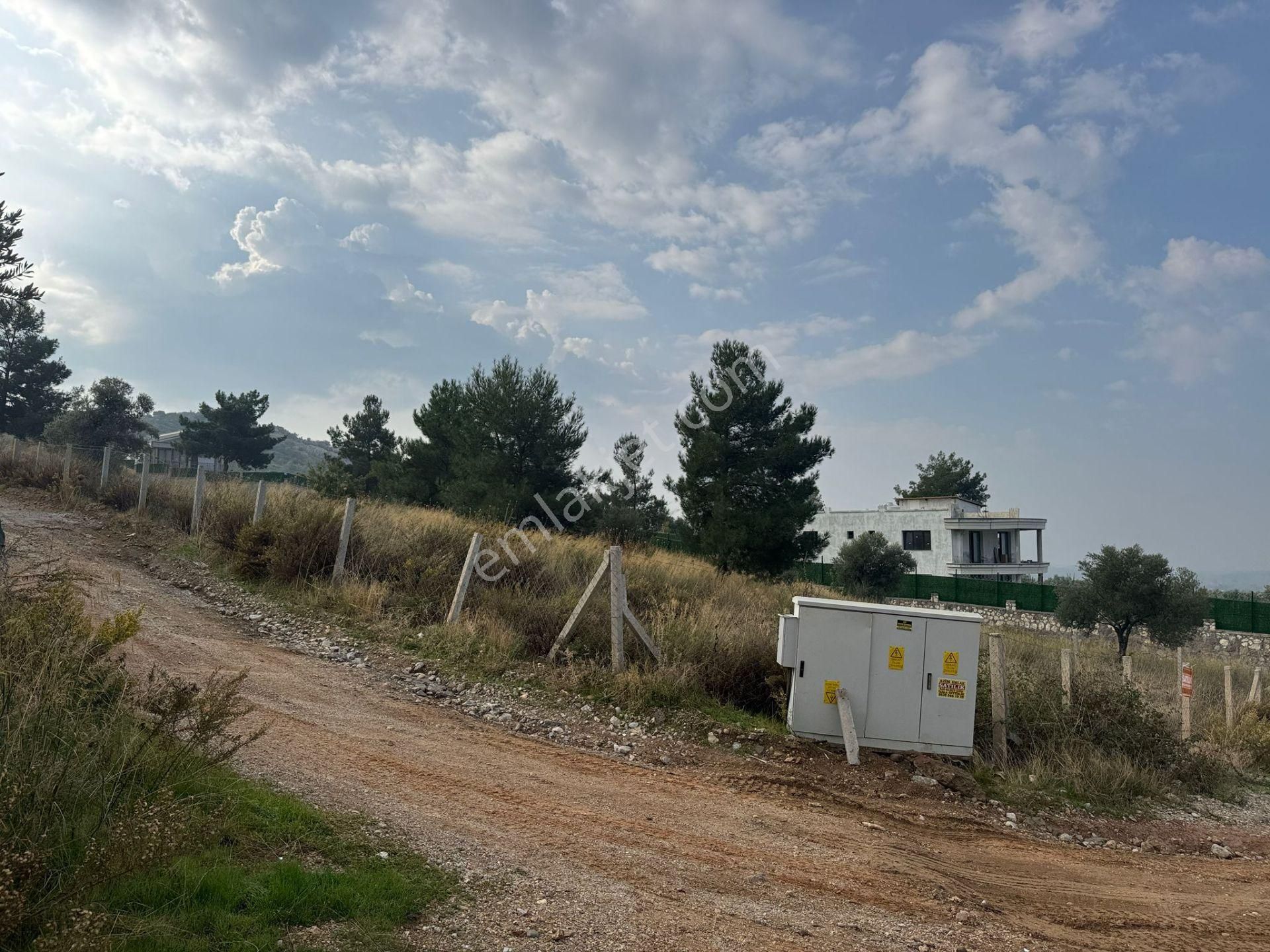 Torbalı Demırcı Çakrak’ta Köşe Parsel! Yatırıma Uygun Zeytınlık Tarla - Görsel 5
