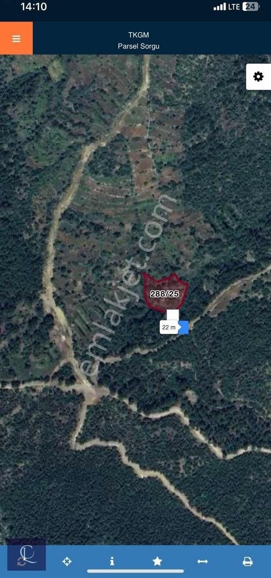 Clara Gayrimenkul'den Akseki'de Satılık Tarla - Görsel 2