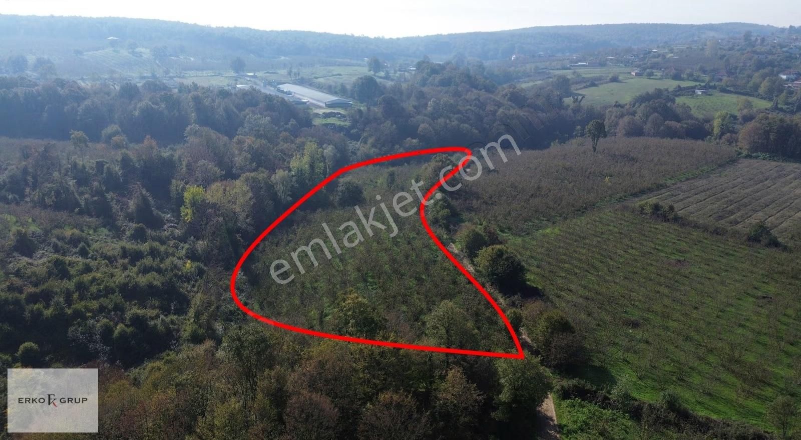 Erko Grup Gayrimenkul'den Şeyhler'de Satılık Fındık Bahçesi - Görsel 30