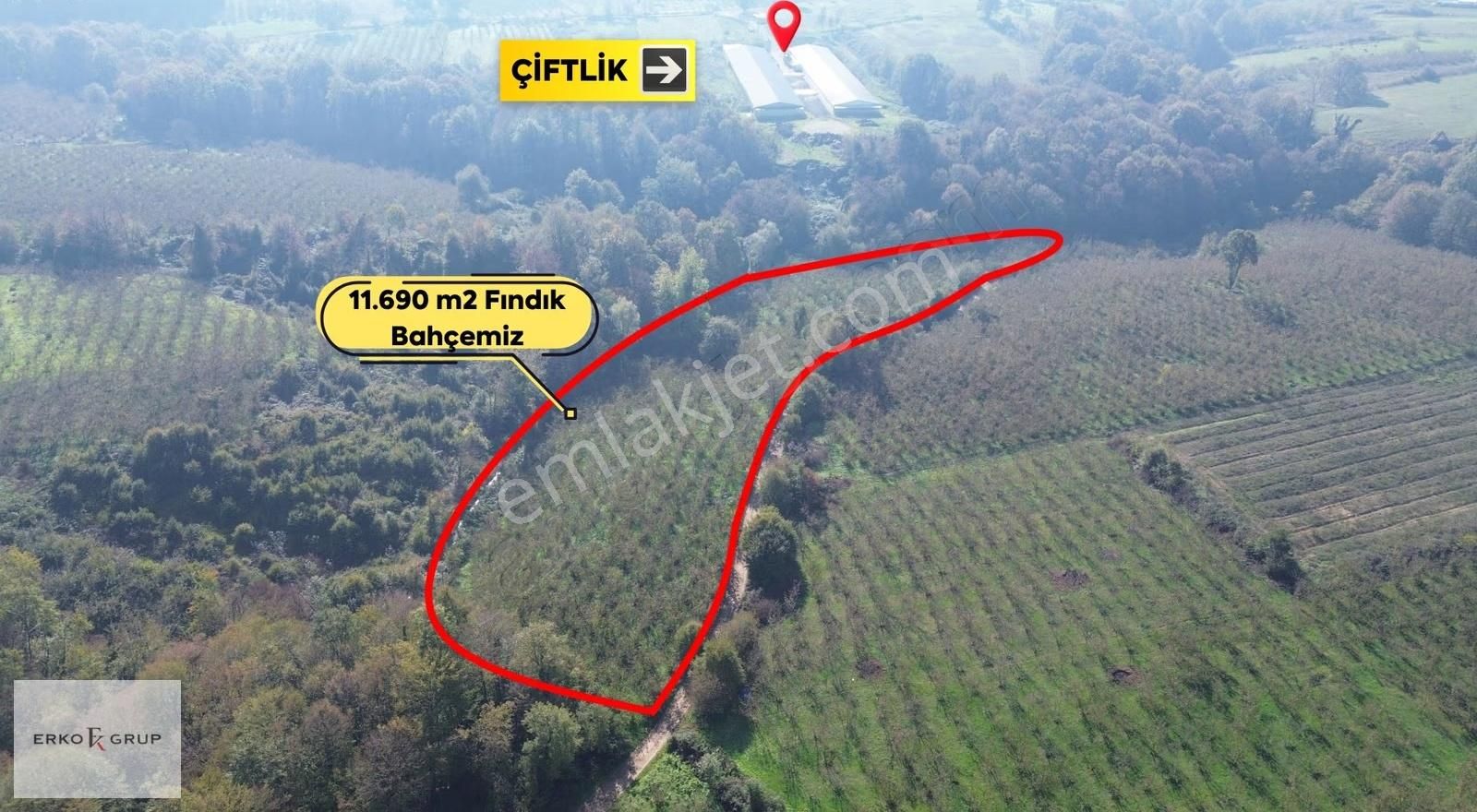 Erko Grup Gayrimenkul'den Şeyhler'de Satılık Fındık Bahçesi - Görsel 33