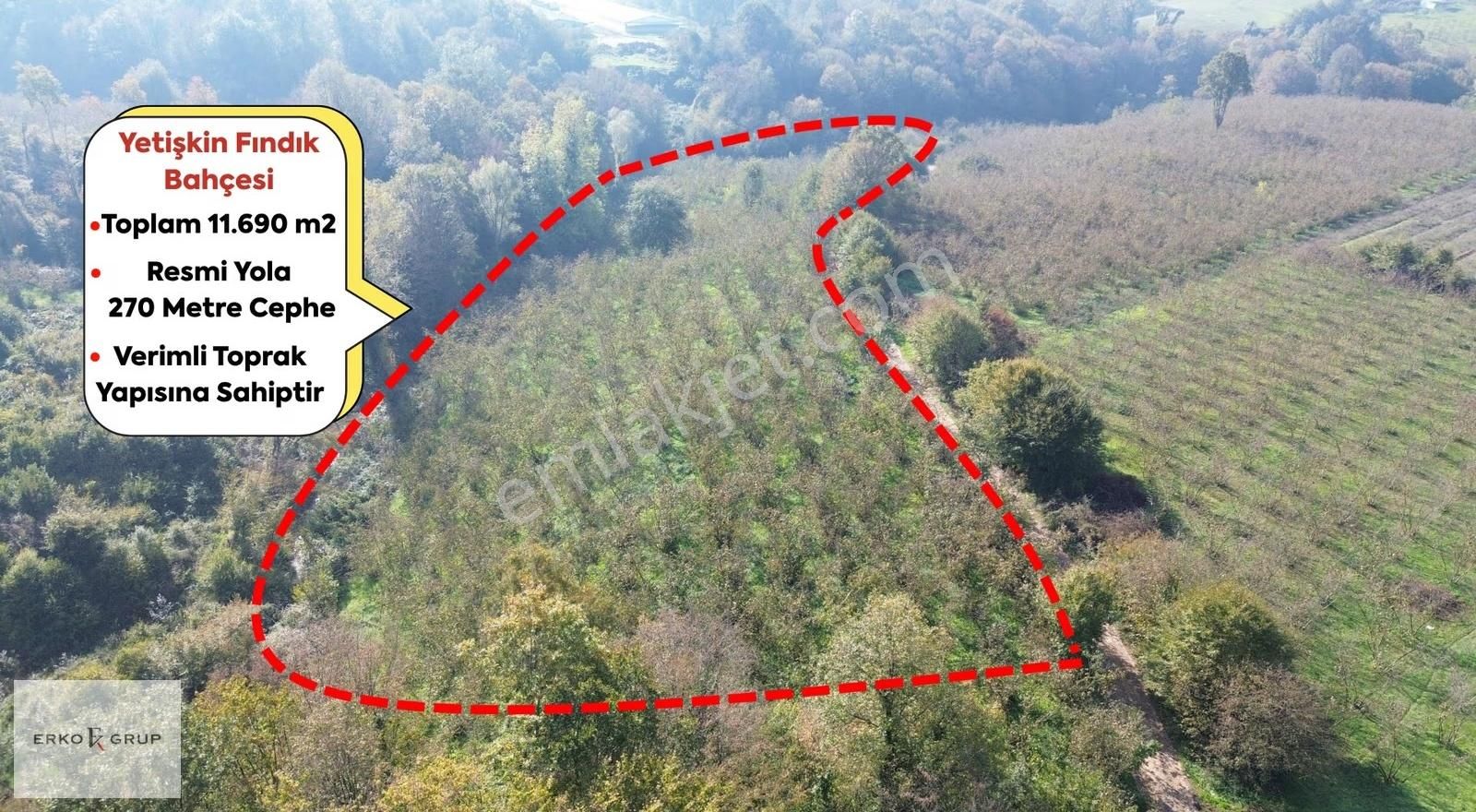 Erko Grup Gayrimenkul'den Şeyhler'de Satılık Fındık Bahçesi - Görsel 22