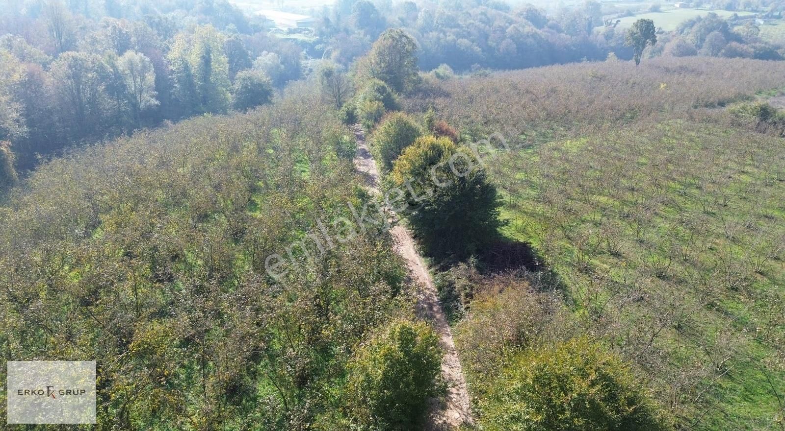 Erko Grup Gayrimenkul'den Şeyhler'de Satılık Fındık Bahçesi - Görsel 29