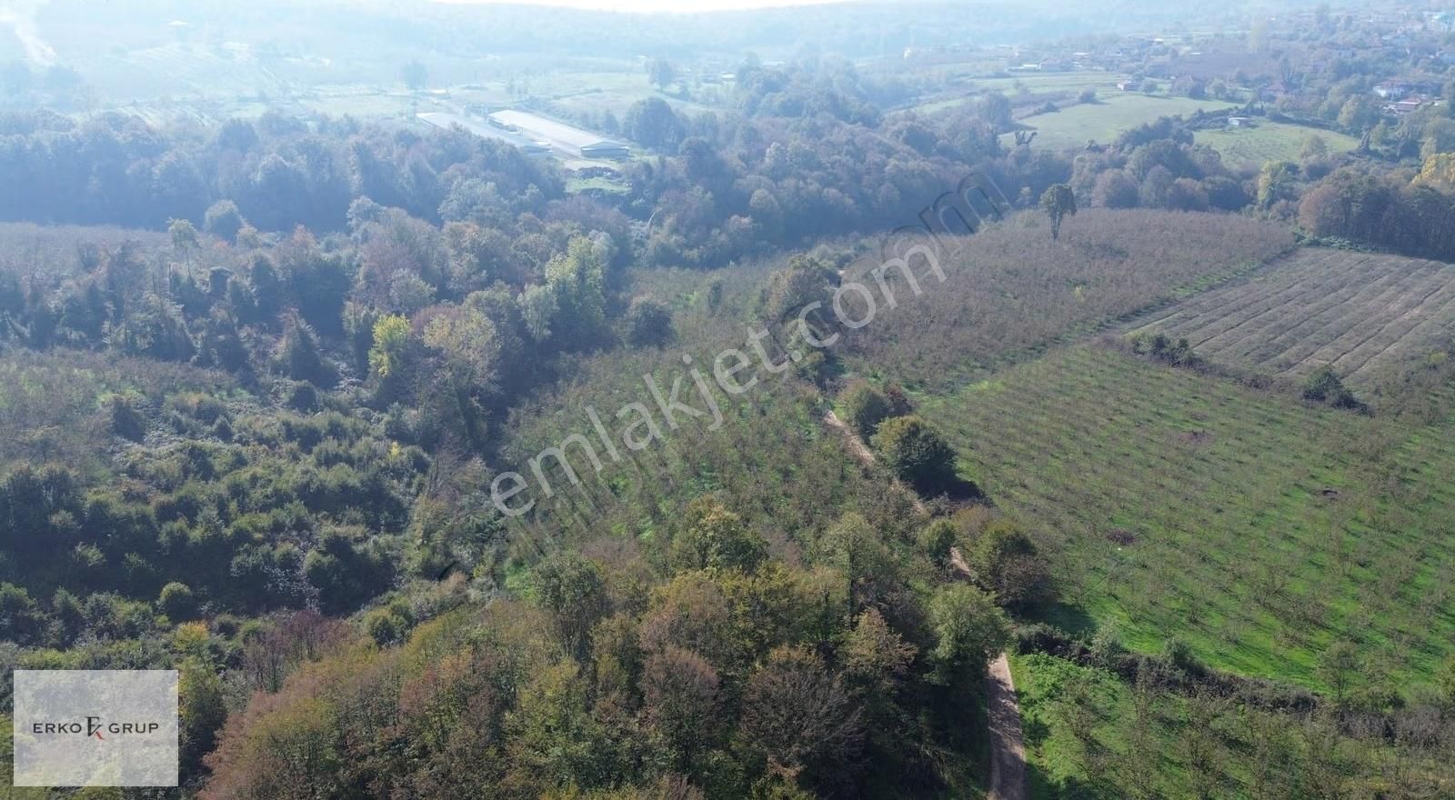 Erko Grup Gayrimenkul'den Şeyhler'de Satılık Fındık Bahçesi - Görsel 9