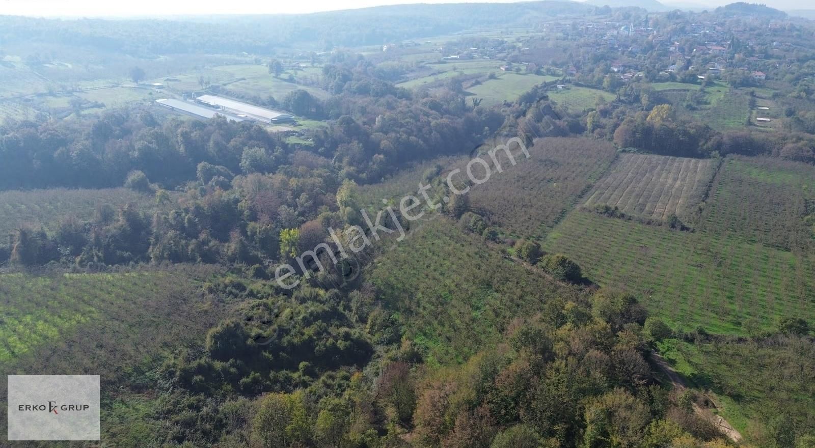 Erko Grup Gayrimenkul'den Şeyhler'de Satılık Fındık Bahçesi - Görsel 4