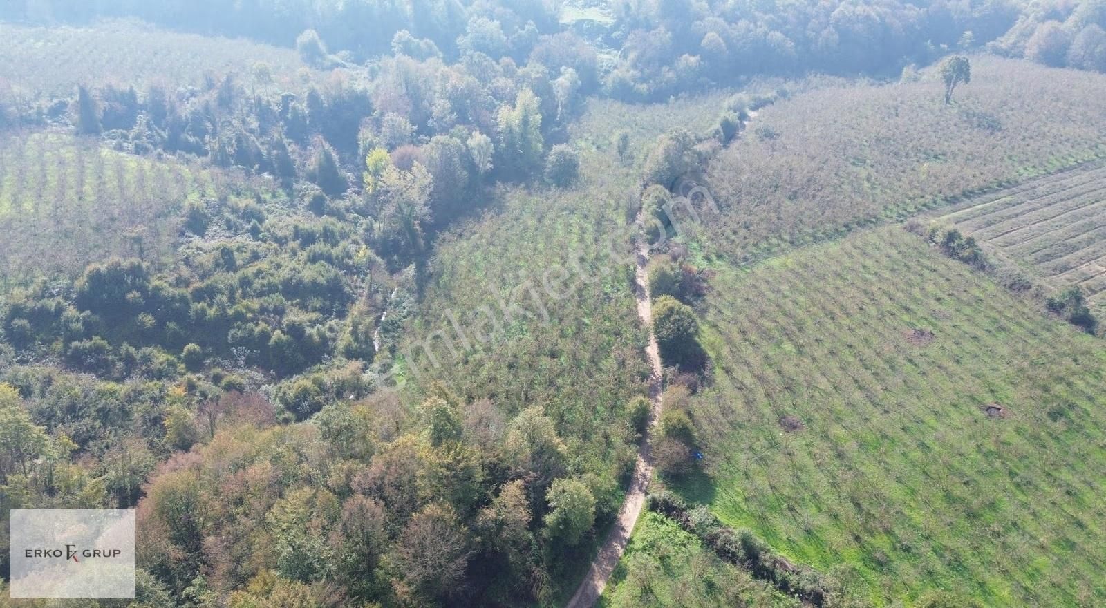 Erko Grup Gayrimenkul'den Şeyhler'de Satılık Fındık Bahçesi - Görsel 16