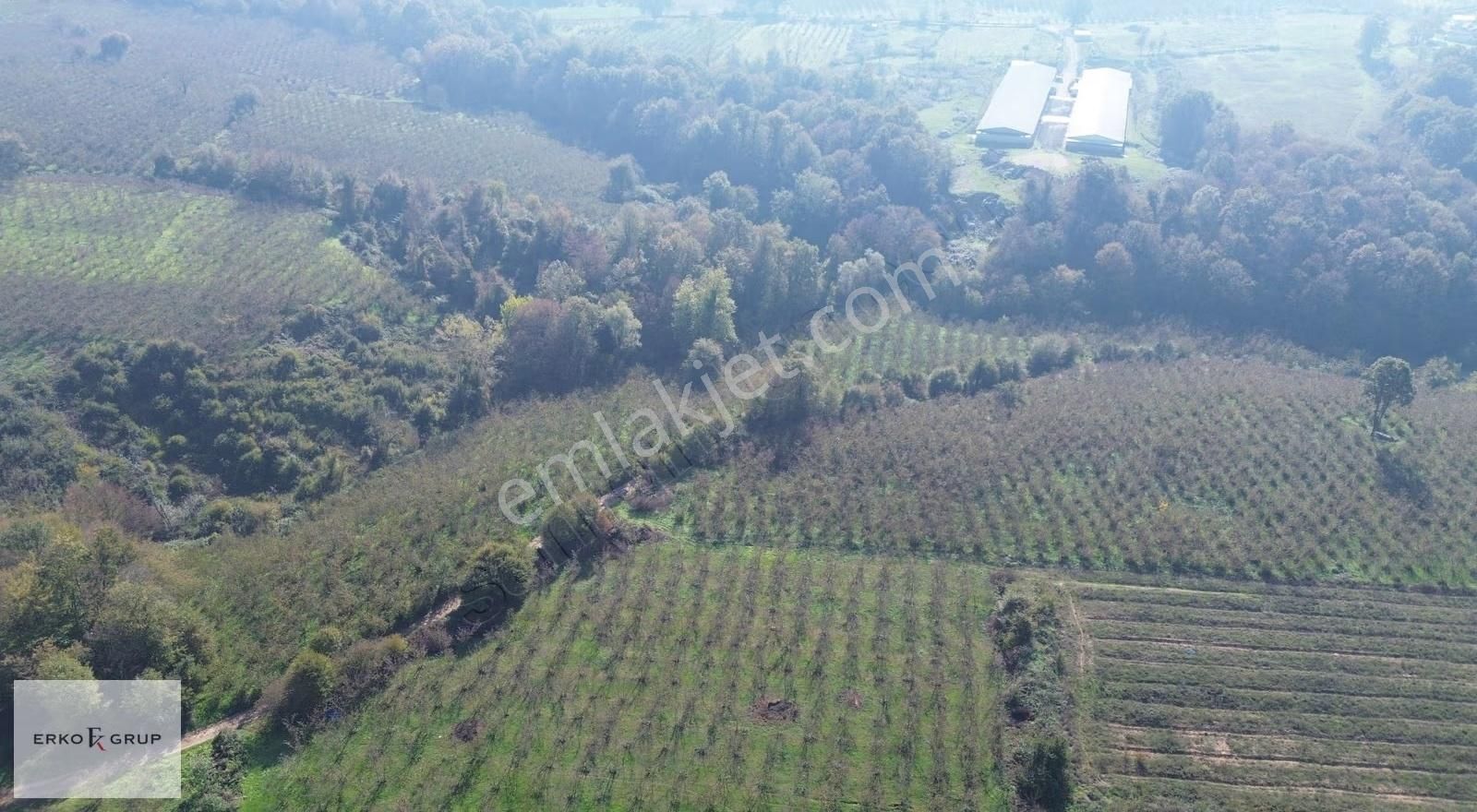 Erko Grup Gayrimenkul'den Şeyhler'de Satılık Fındık Bahçesi - Görsel 32