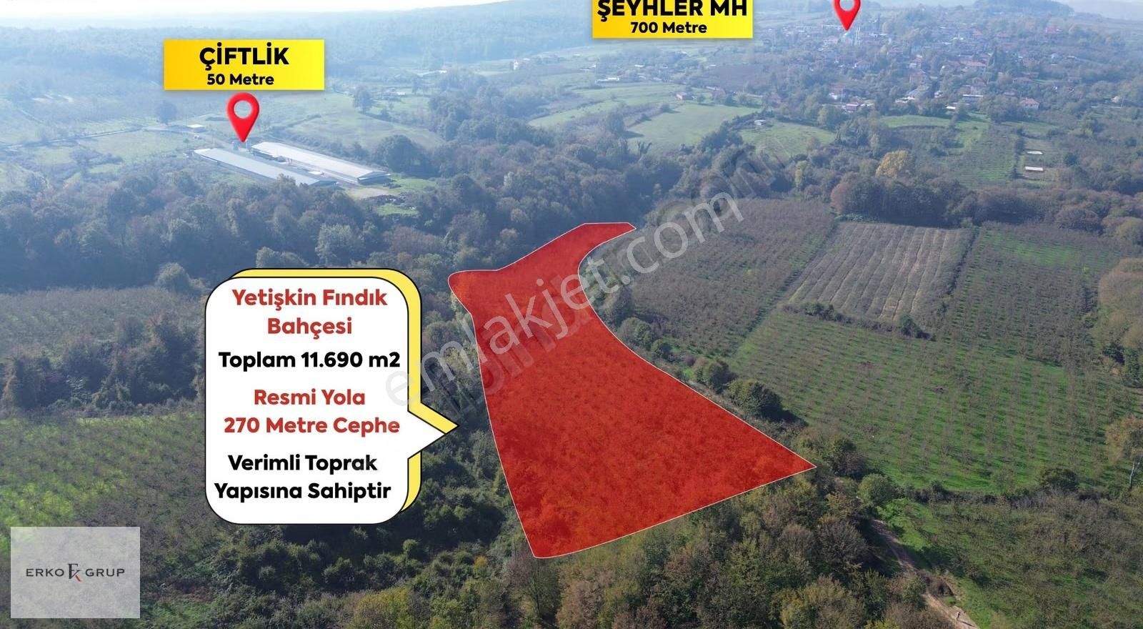 Erko Grup Gayrimenkul'den Şeyhler'de Satılık Fındık Bahçesi - Görsel 28