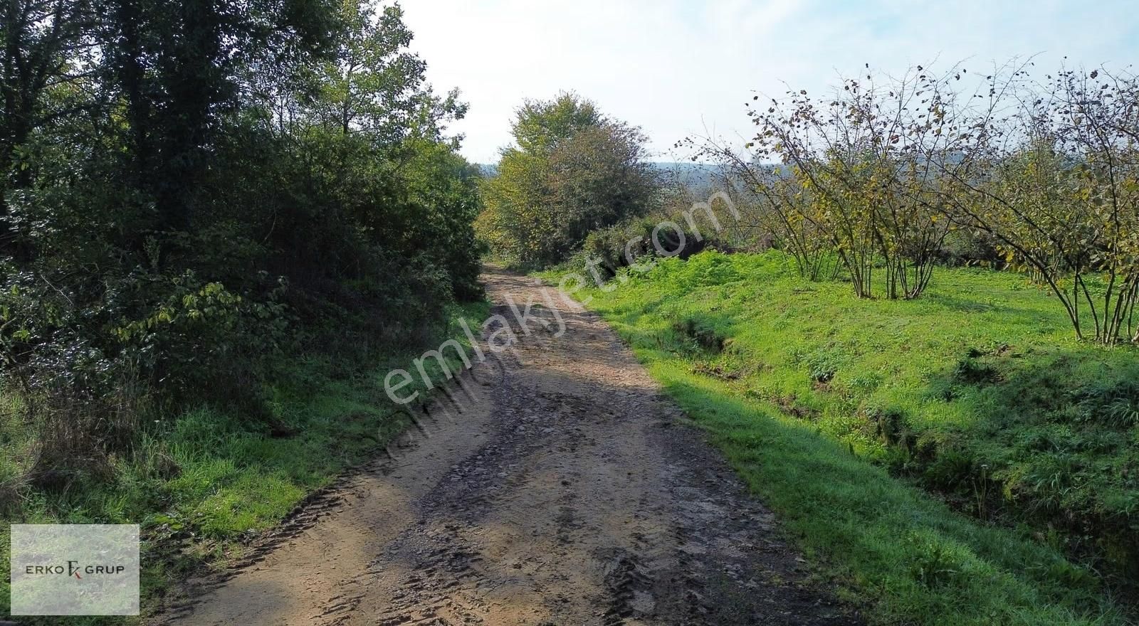 Erko Grup Gayrimenkul'den Şeyhler'de Satılık Fındık Bahçesi - Görsel 8