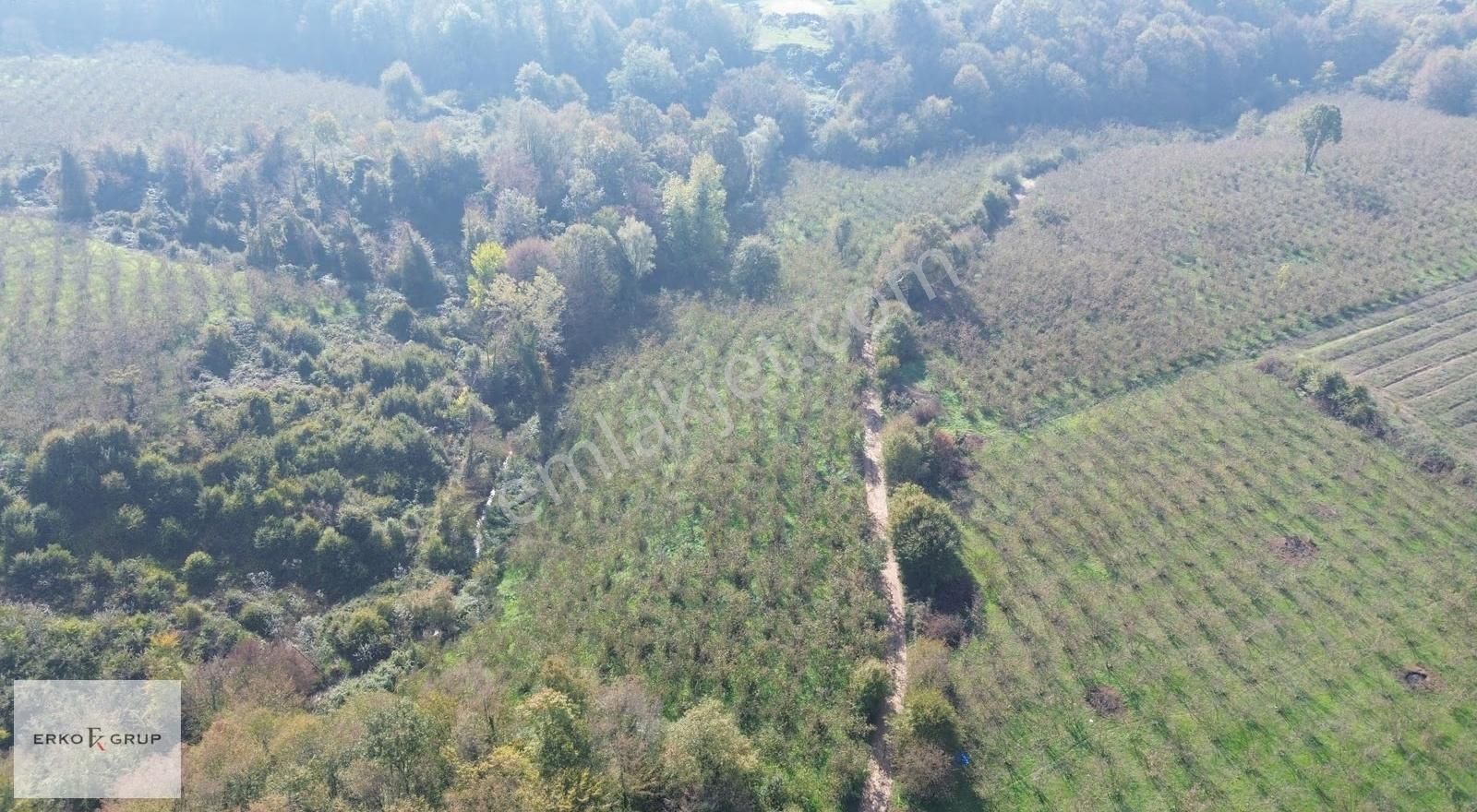 Erko Grup Gayrimenkul'den Şeyhler'de Satılık Fındık Bahçesi - Görsel 12