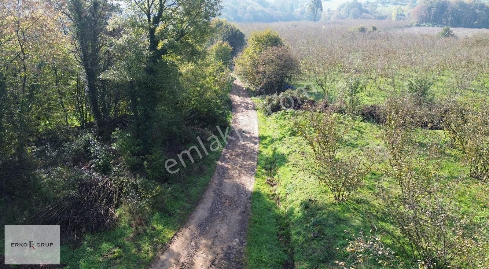 Erko Grup Gayrimenkul'den Şeyhler'de Satılık Fındık Bahçesi - Görsel 18