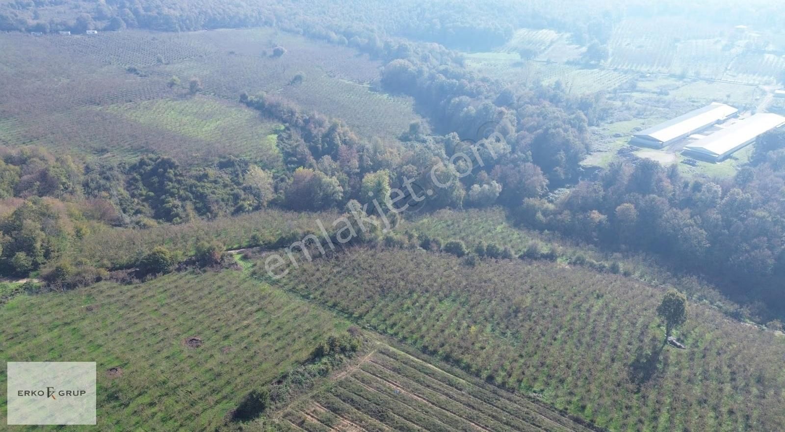 Erko Grup Gayrimenkul'den Şeyhler'de Satılık Fındık Bahçesi - Görsel 27