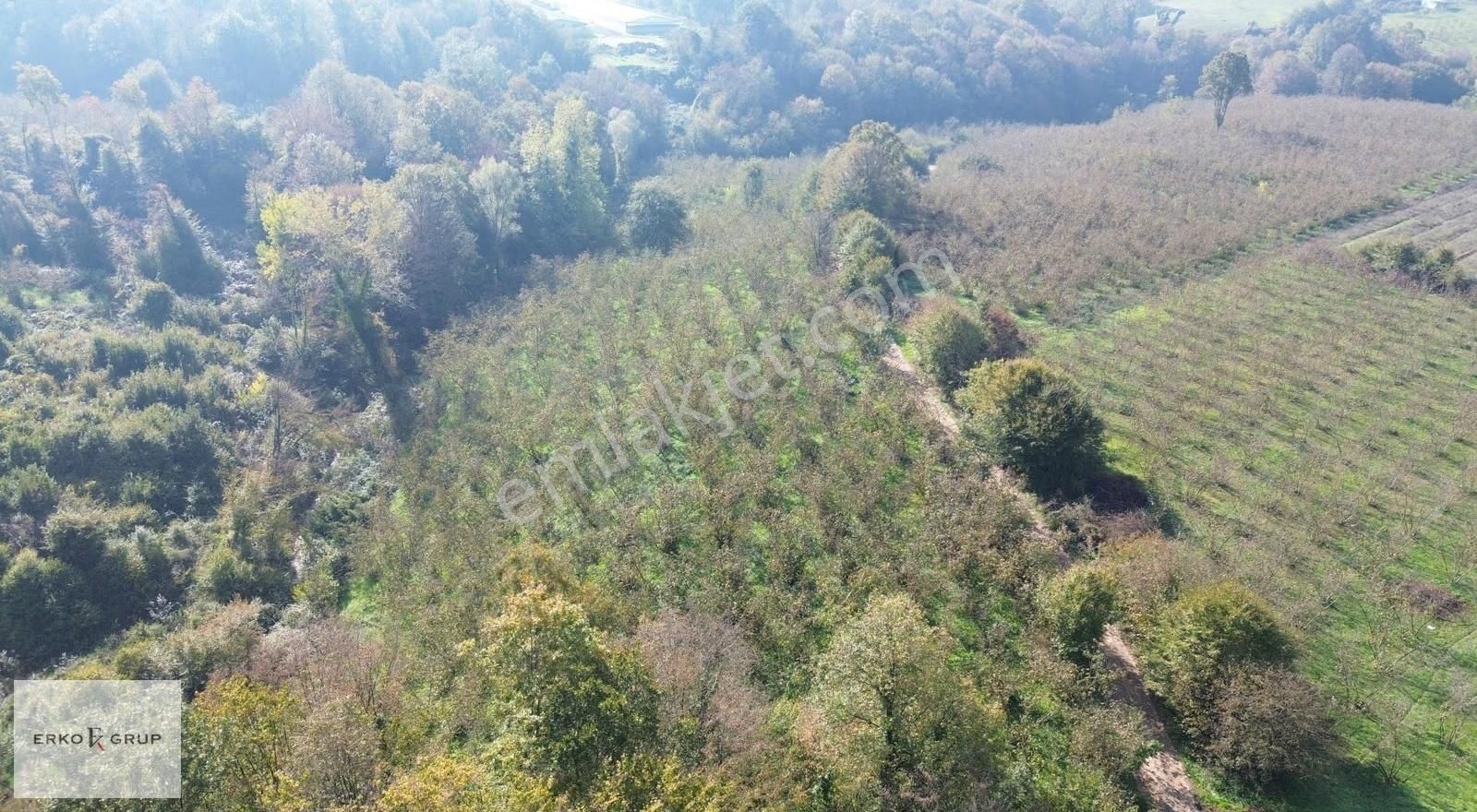 Erko Grup Gayrimenkul'den Şeyhler'de Satılık Fındık Bahçesi