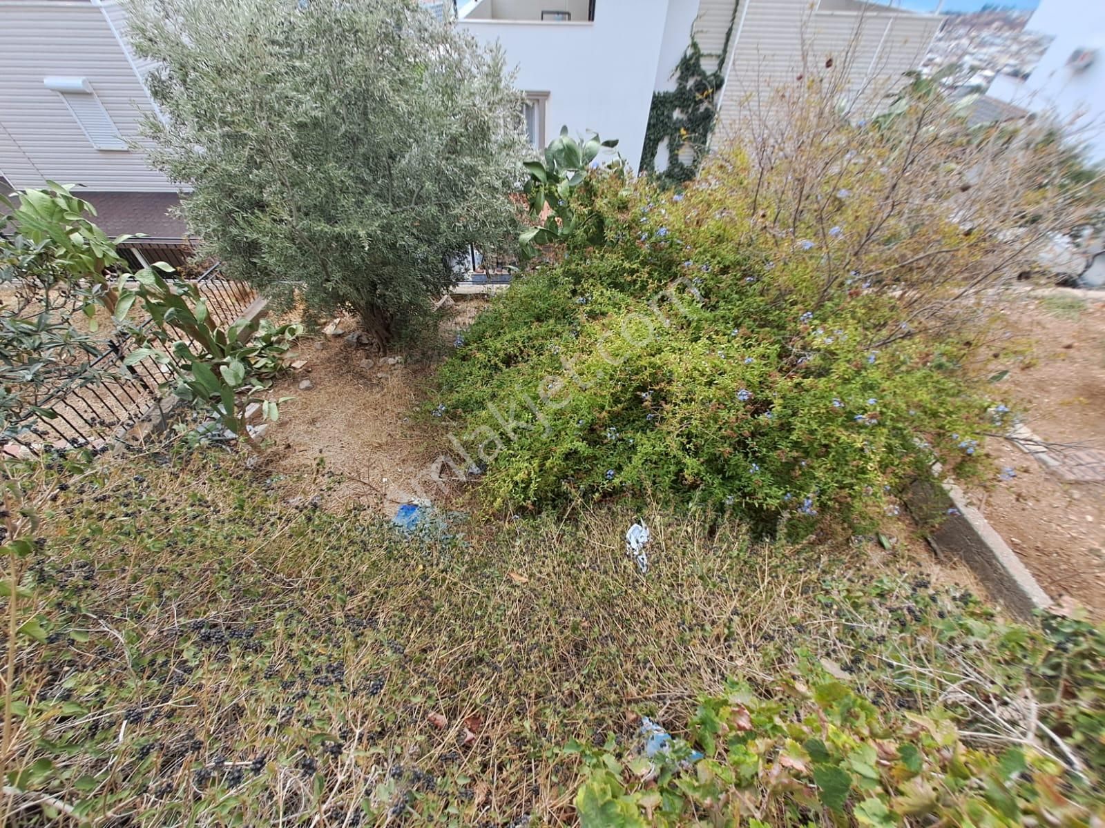 Didim Akbük Kumkent Sitesinde Full Deniz Manzaralı 3+1 Villa - Görsel 28