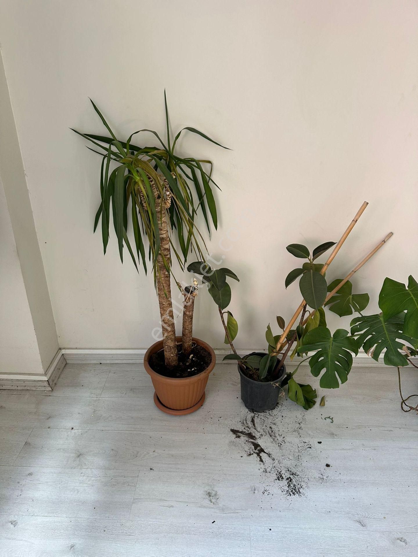 Bosforce'dan Kadıköy Altıyolda 2+1 Kullanımlı Kiralık Ofis - Görsel 7