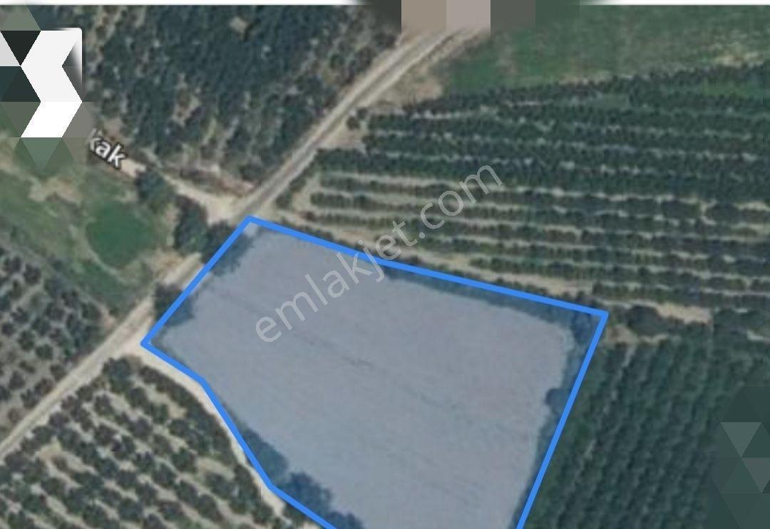 Bursa Gürsu İstiklalde Gözde Konumda 5.440 M² Fırsat Arazi - Görsel 2