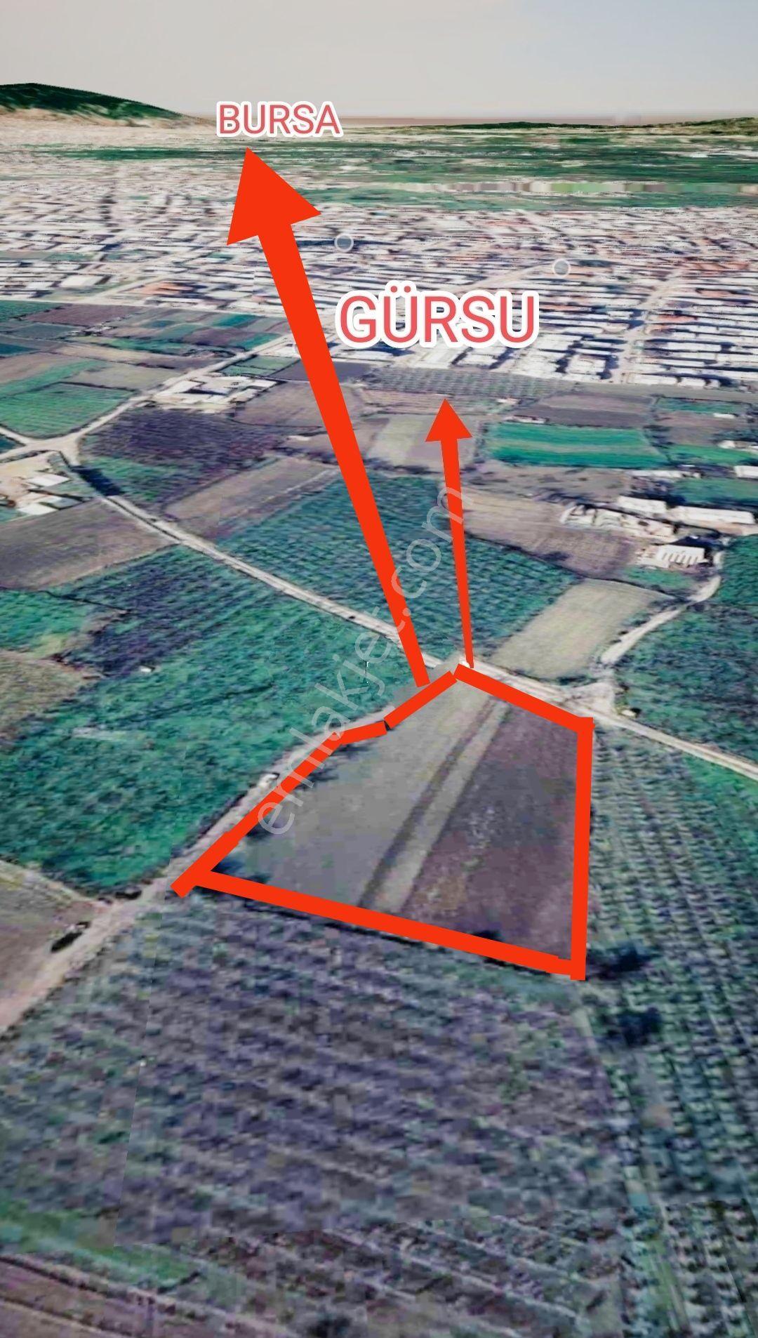 Bursa Gürsu İstiklalde Gözde Konumda 5.440 M² Fırsat Arazi - Görsel 5