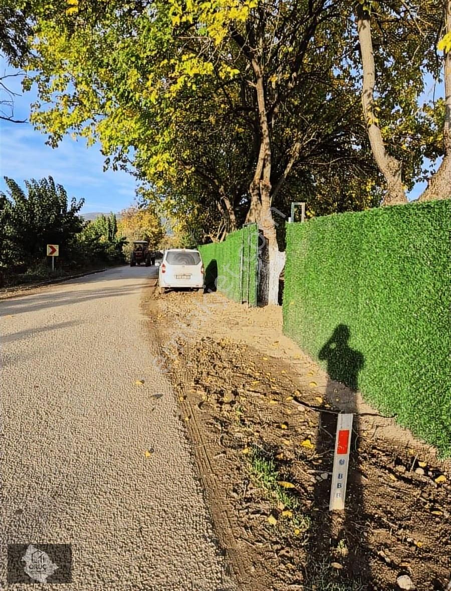 Kurşunluda Asfalta Cephe Hobi Bahçesi - Görsel 5
