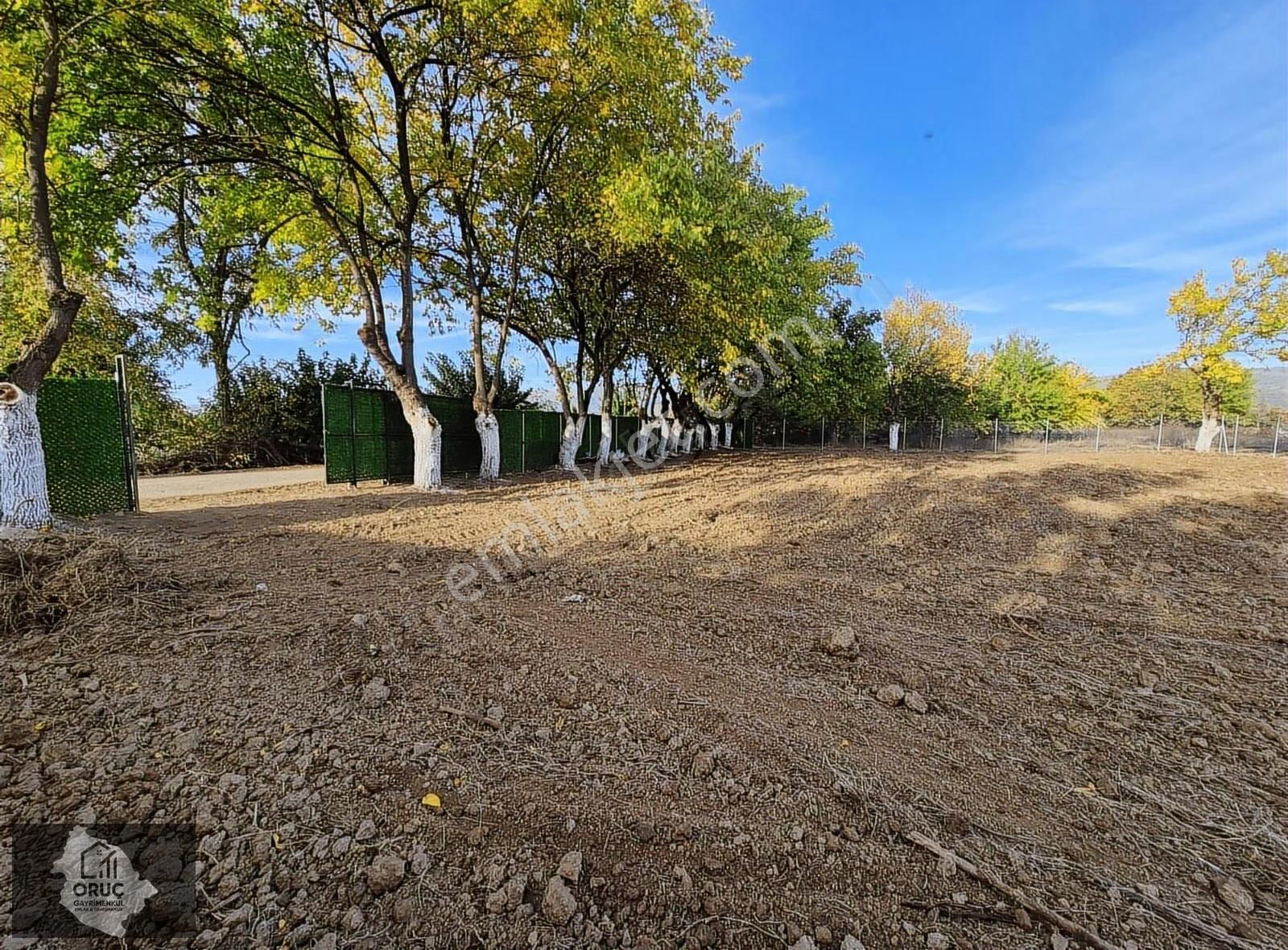 Kurşunluda Asfalta Cephe Hobi Bahçesi