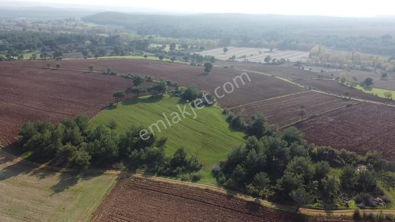 Çanakkale Bayramiç Yahşieli Köyünde 6682 M2 Yatırımlık Tarla ! - Görsel 8