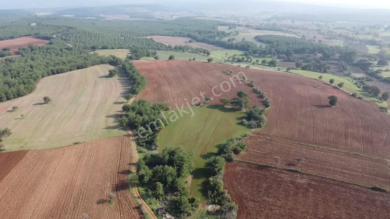 Çanakkale Bayramiç Yahşieli Köyünde 6682 M2 Yatırımlık Tarla ! - Görsel 7