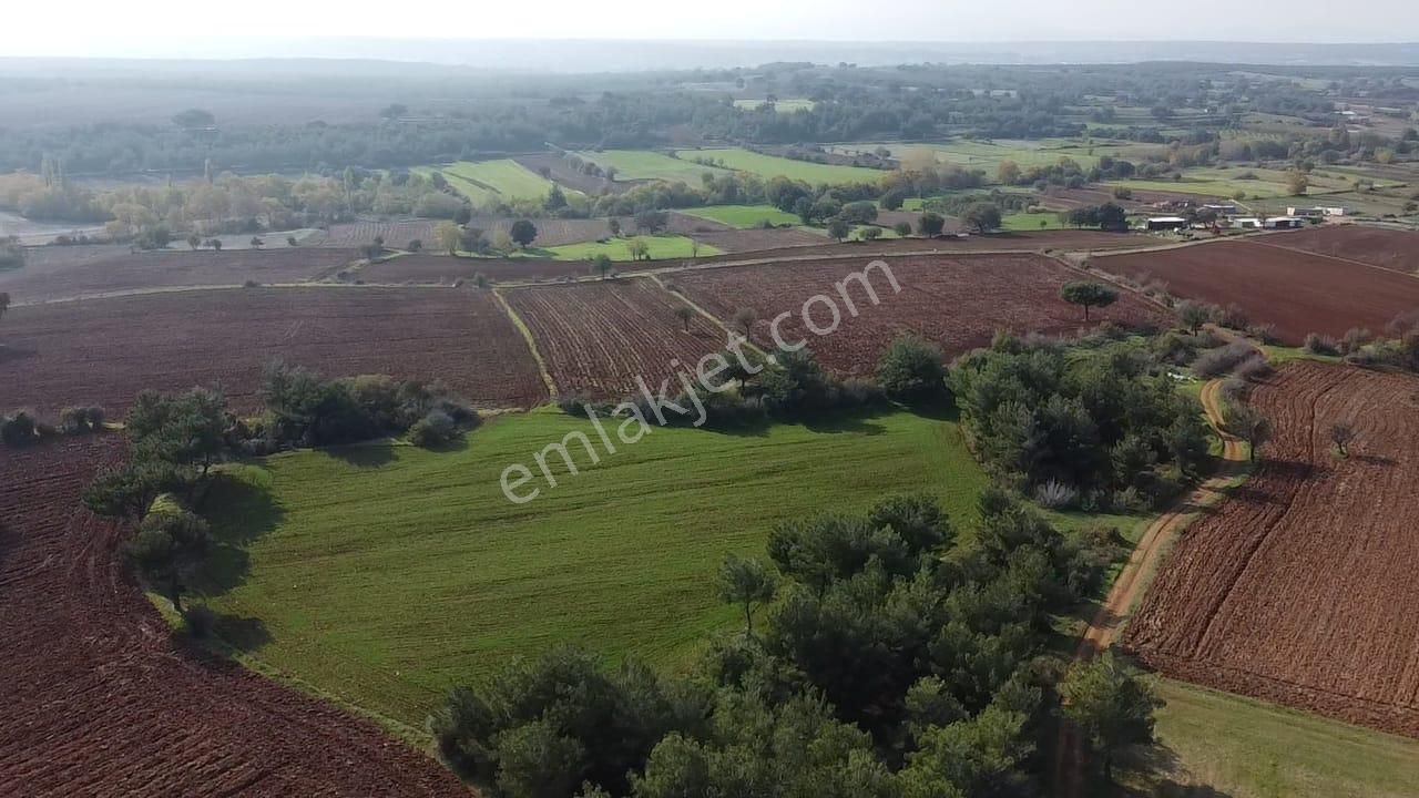 Çanakkale Bayramiç Yahşieli Köyünde 6682 M2 Yatırımlık Tarla ! - Görsel 6