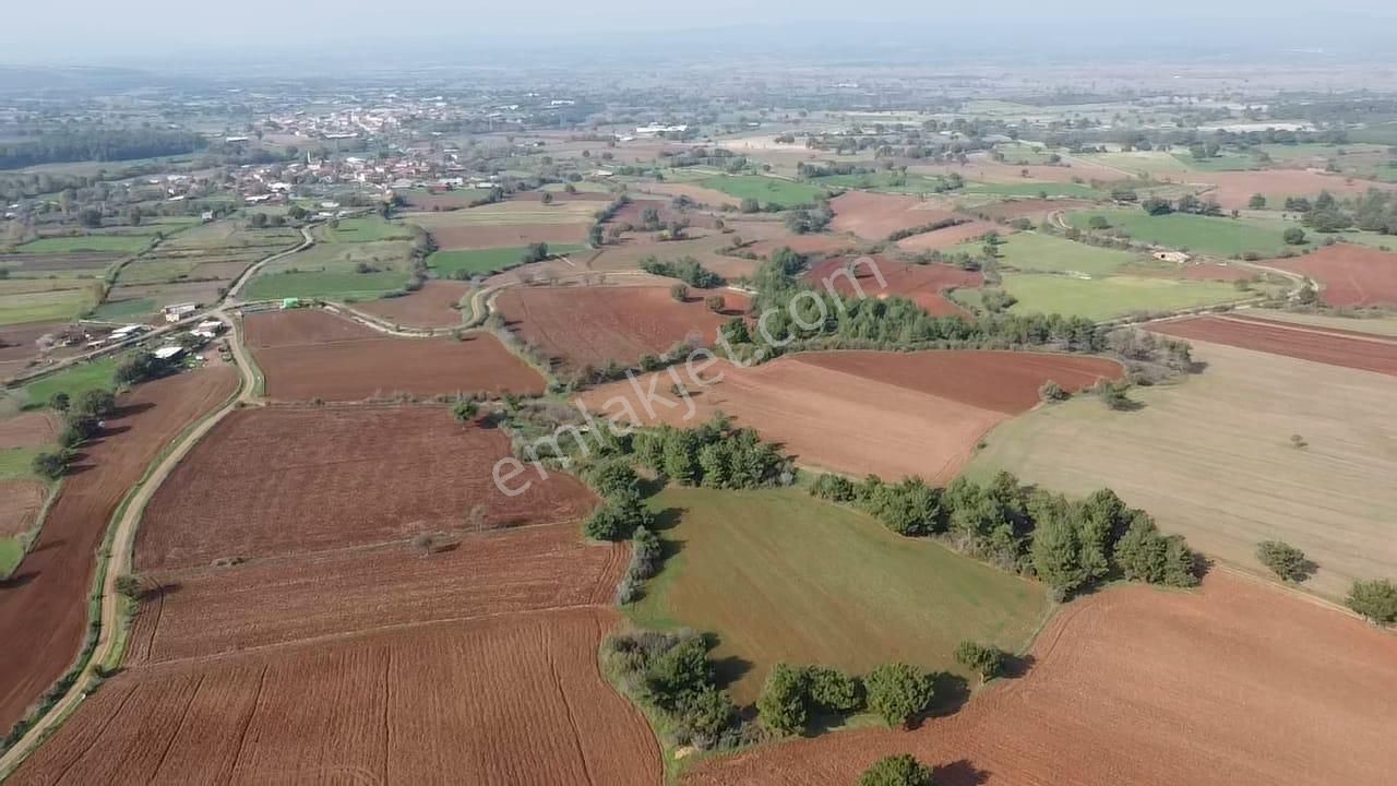 Çanakkale Bayramiç Yahşieli Köyünde 6682 M2 Yatırımlık Tarla ! - Görsel 3