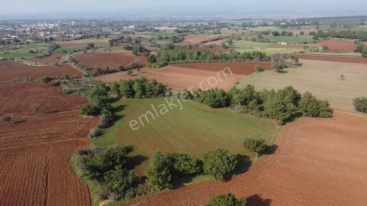 Çanakkale Bayramiç Yahşieli Köyünde 6682 M2 Yatırımlık Tarla !