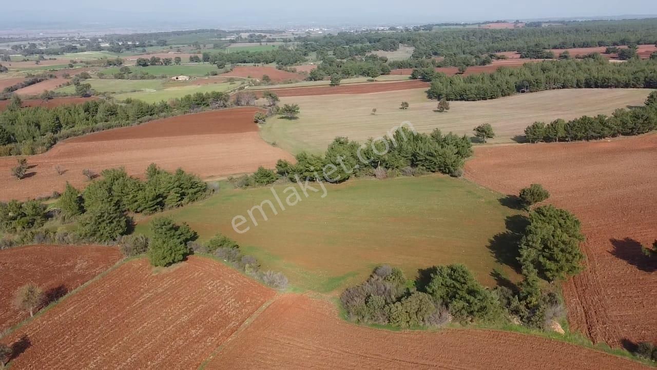 Çanakkale Bayramiç Yahşieli Köyünde 6682 M2 Yatırımlık Tarla ! - Görsel 11