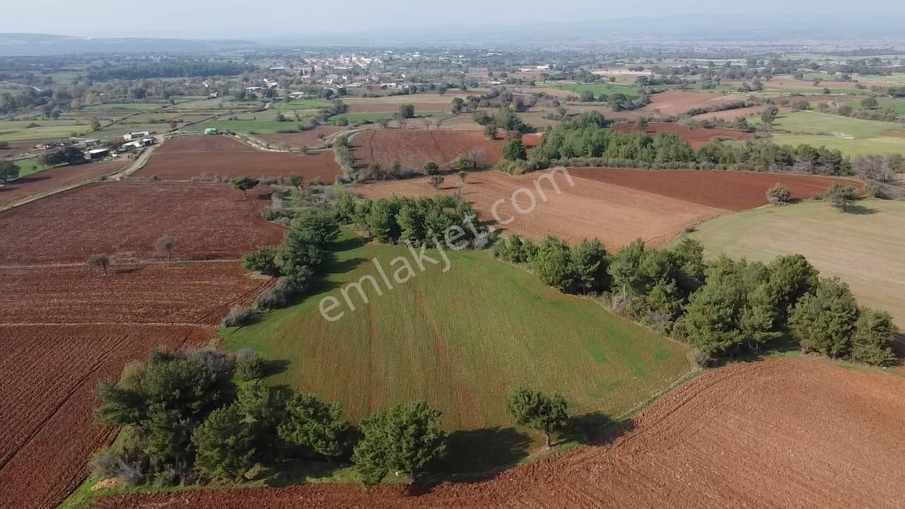 Çanakkale Bayramiç Yahşieli Köyünde 6682 M2 Yatırımlık Tarla ! - Görsel 9
