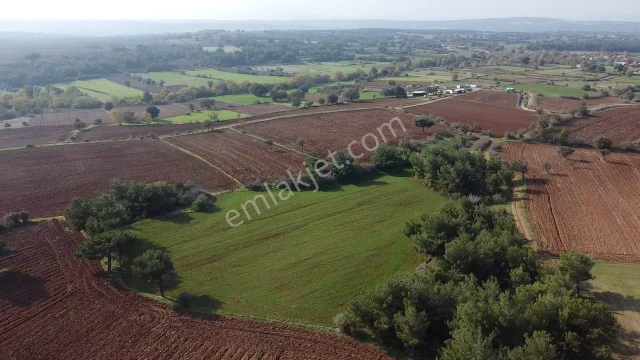 Çanakkale Bayramiç Yahşieli Köyünde 6682 M2 Yatırımlık Tarla ! - Görsel 4