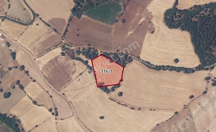 Çanakkale Bayramiç Yahşieli Köyünde 6682 M2 Yatırımlık Tarla ! - Görsel 13