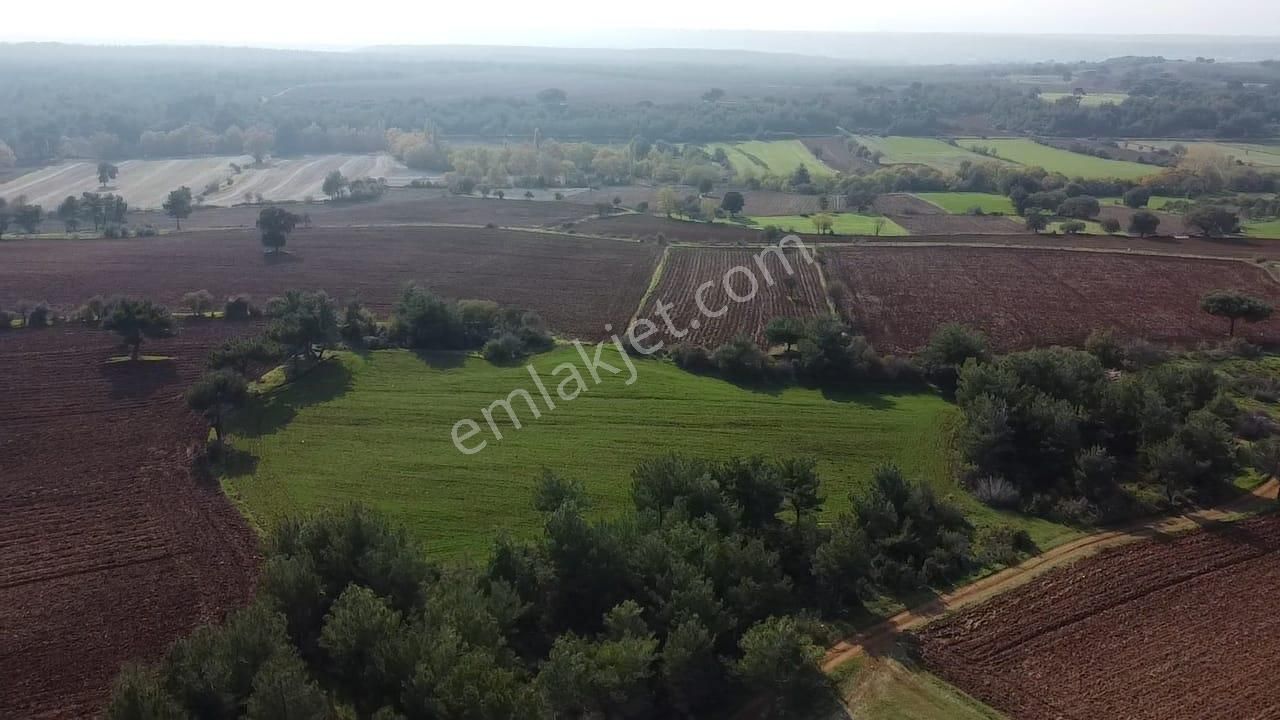 Çanakkale Bayramiç Yahşieli Köyünde 6682 M2 Yatırımlık Tarla ! - Görsel 2