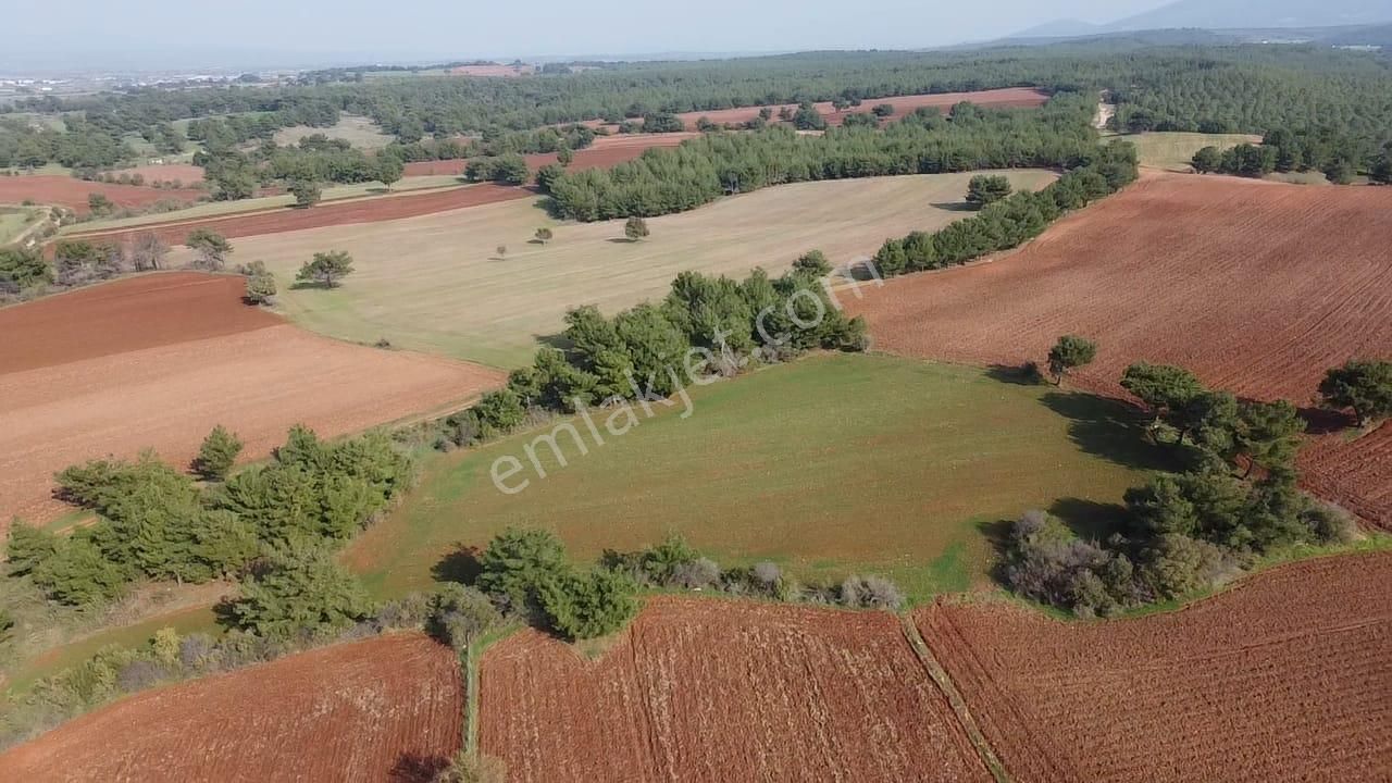 Çanakkale Bayramiç Yahşieli Köyünde 6682 M2 Yatırımlık Tarla ! - Görsel 10