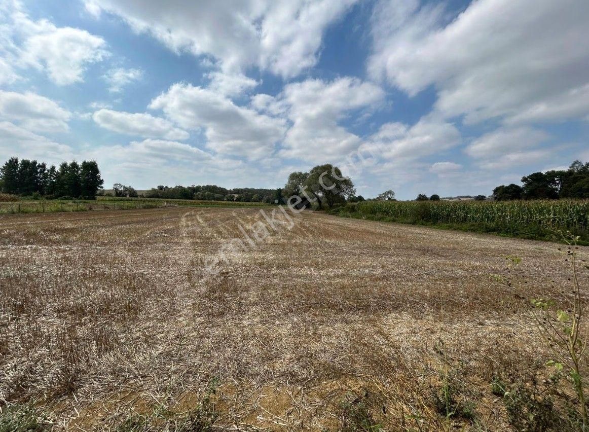 Şükran Gayrimenkul'den Salmanlı Da Yola 150m Satılık Tarla - Görsel 13