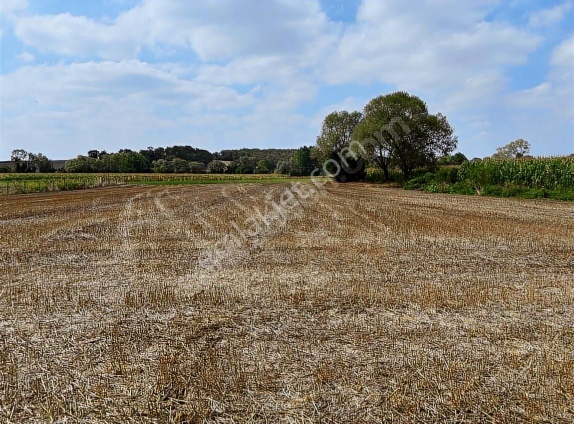 Şükran Gayrimenkul'den Salmanlı Da Yola 150m Satılık Tarla - Görsel 2