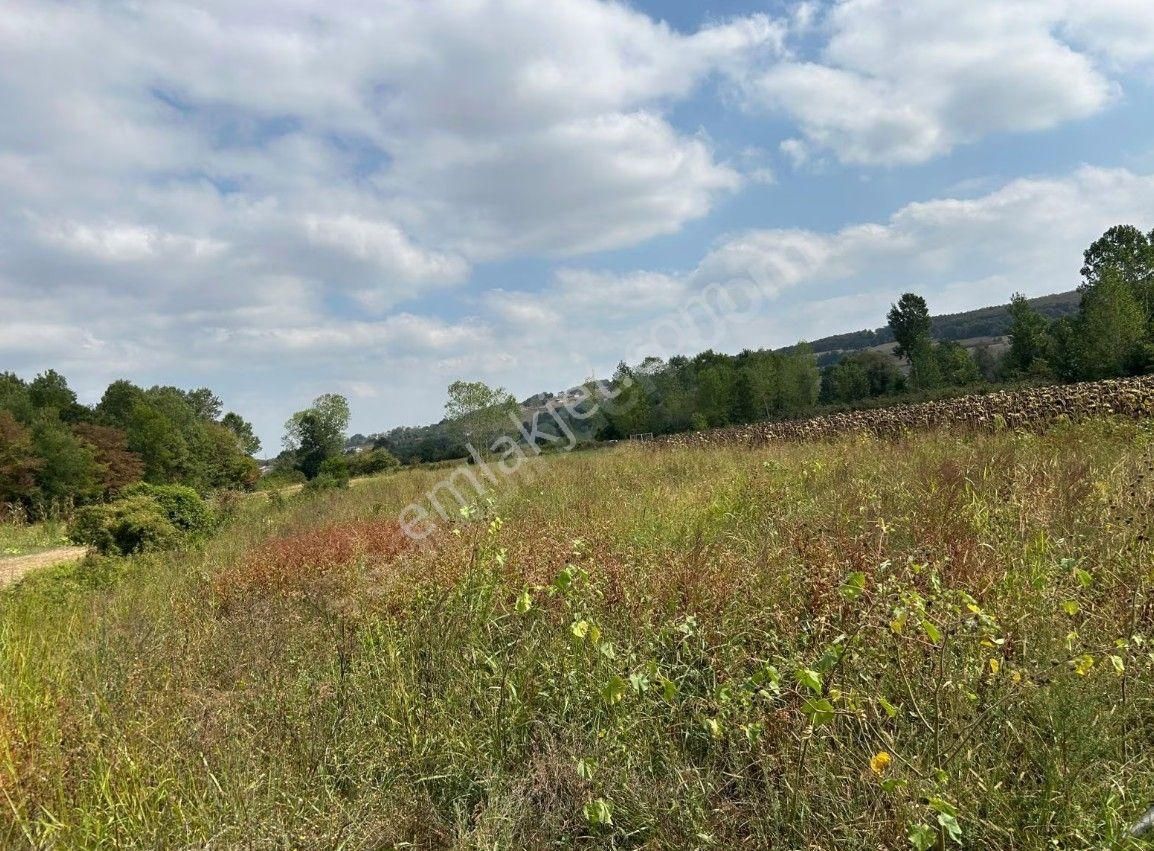 Şükran Gayrimenkul'den Salmanlı Da Yola 150m Satılık Tarla - Görsel 4