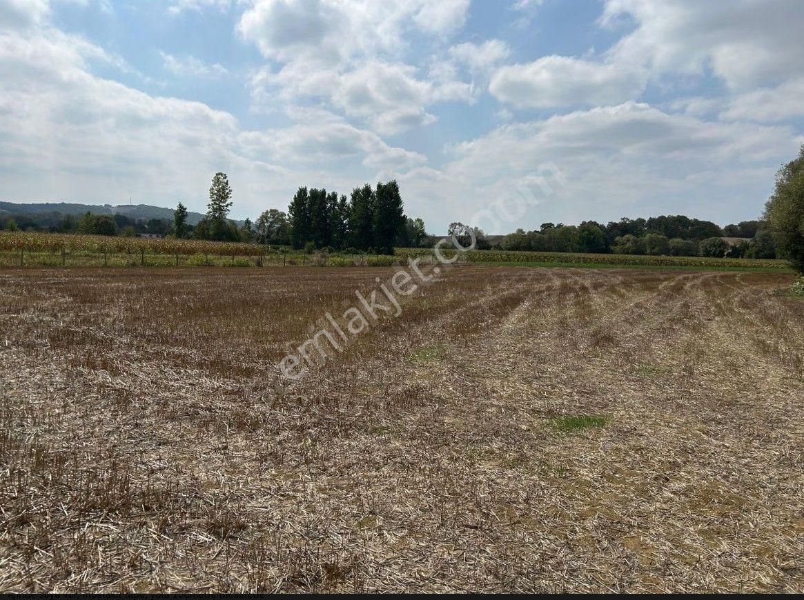 Şükran Gayrimenkul'den Salmanlı Da Yola 150m Satılık Tarla - Görsel 10