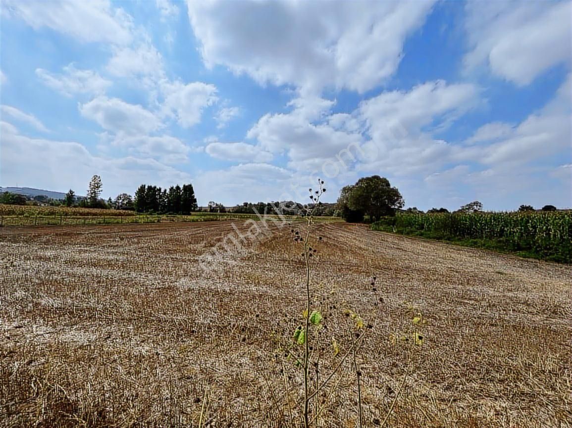 Şükran Gayrimenkul'den Salmanlı Da Yola 150m Satılık Tarla