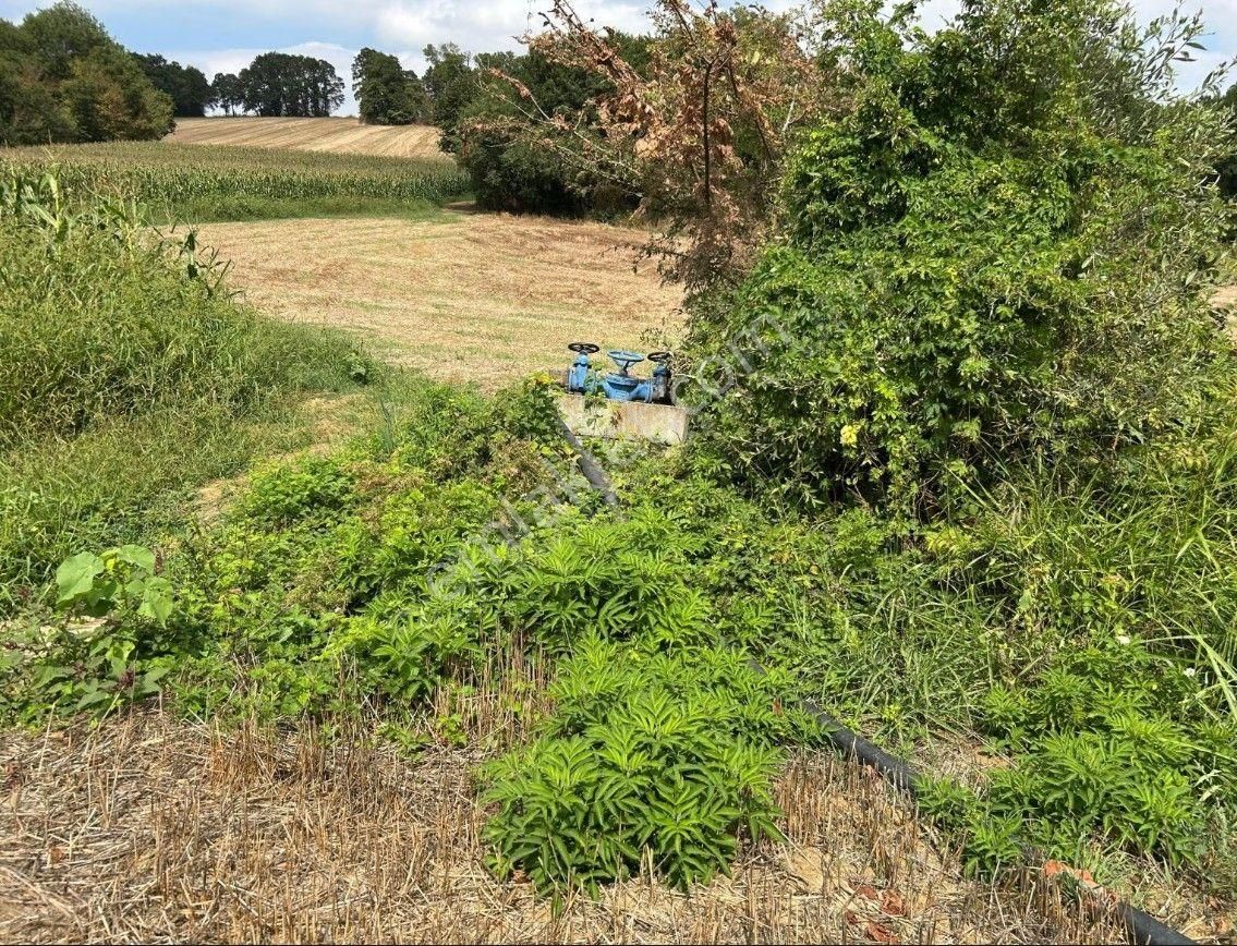 Şükran Gayrimenkul'den Salmanlı Da Yola 150m Satılık Tarla - Görsel 3