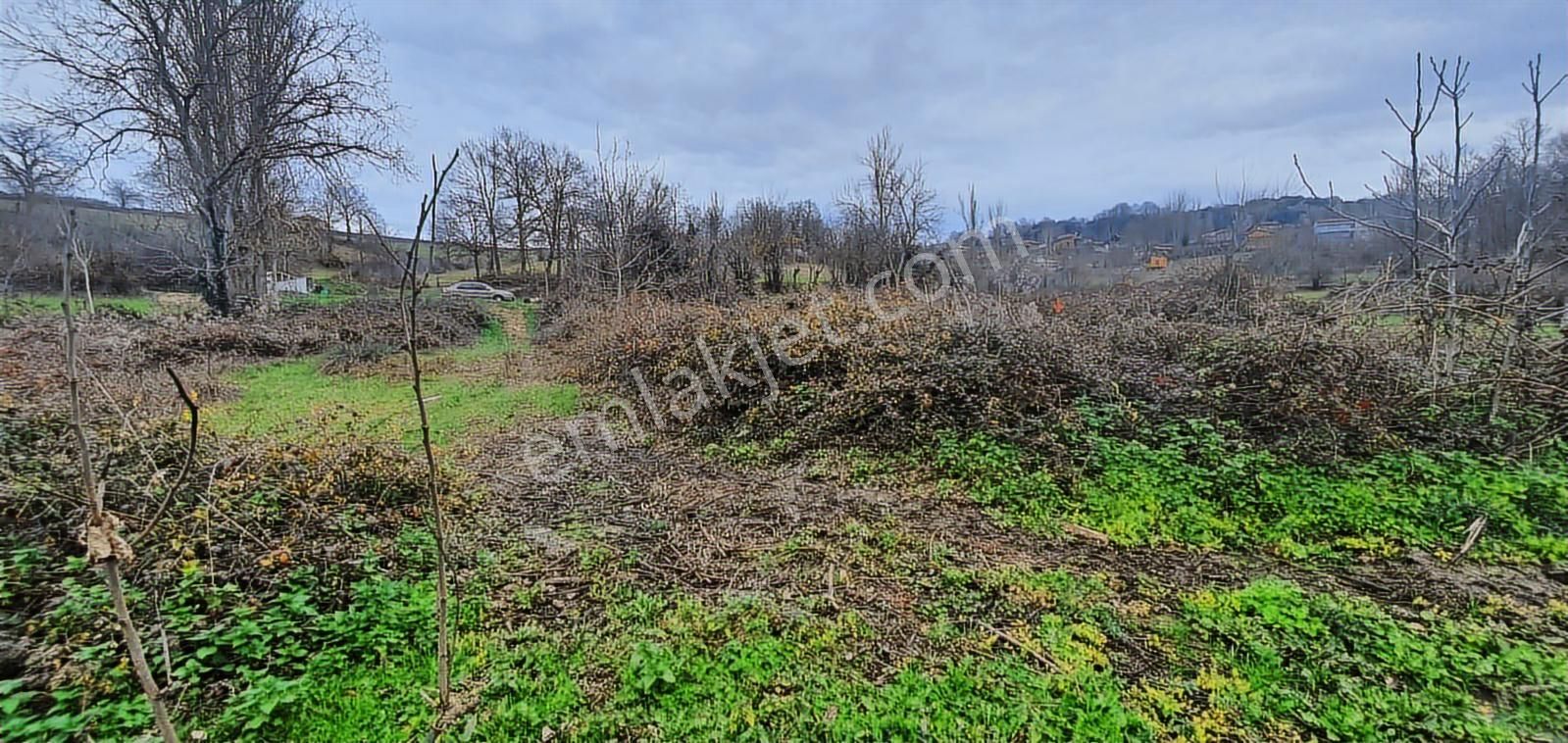 Bursa Nilüfer Korubaşı'nda 572m2 Tek Tapu Köye Yakın Arazi - Görsel 4