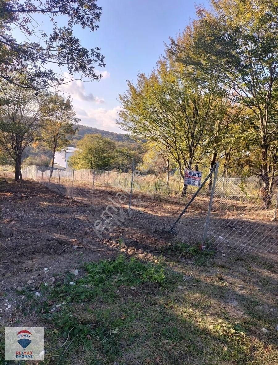 Şile Kabakozda Deniz Manzaralı 483 M² Satılık Arsa - Görsel 6