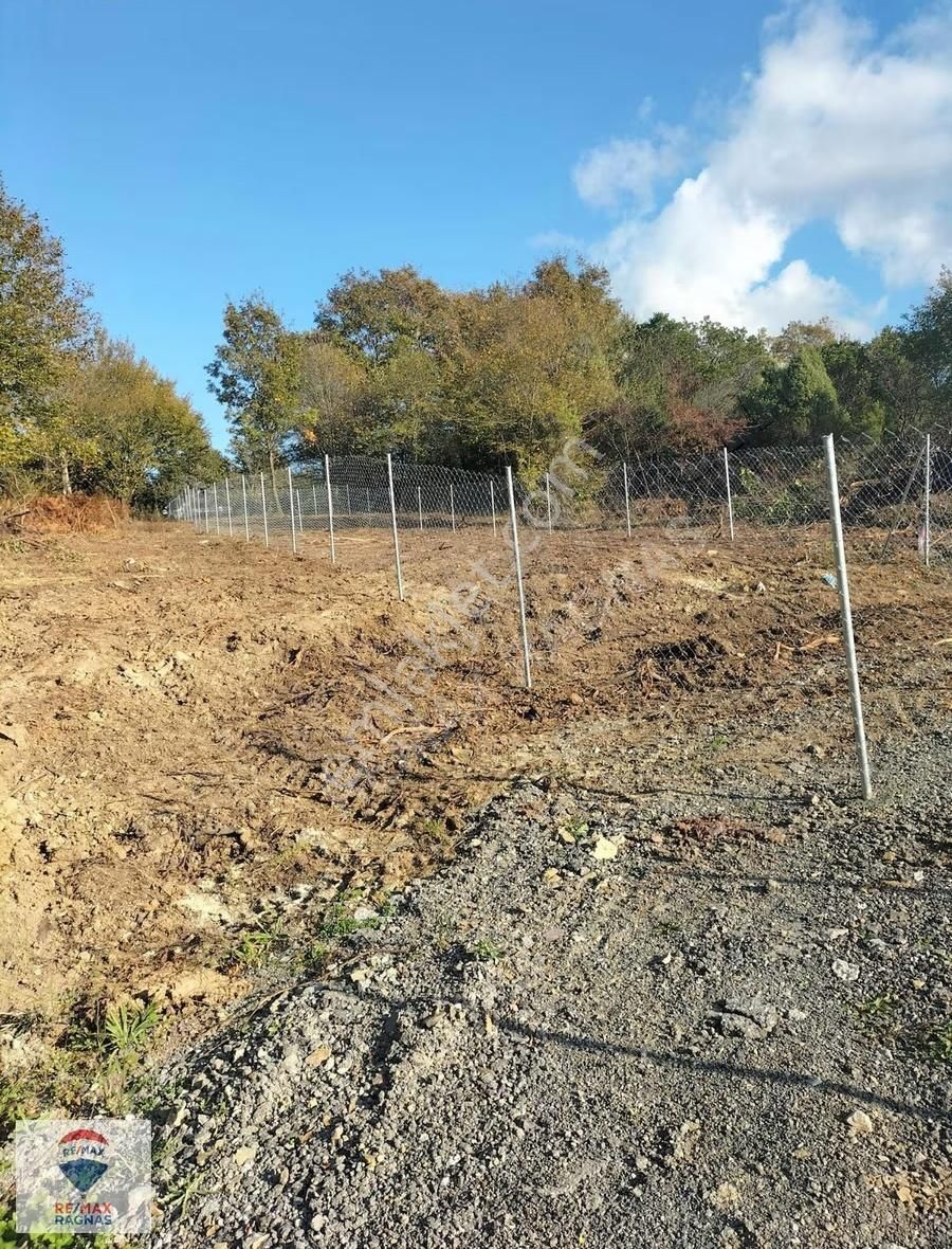 Şile Kabakozda Deniz Manzaralı 483 M² Satılık Arsa - Görsel 3