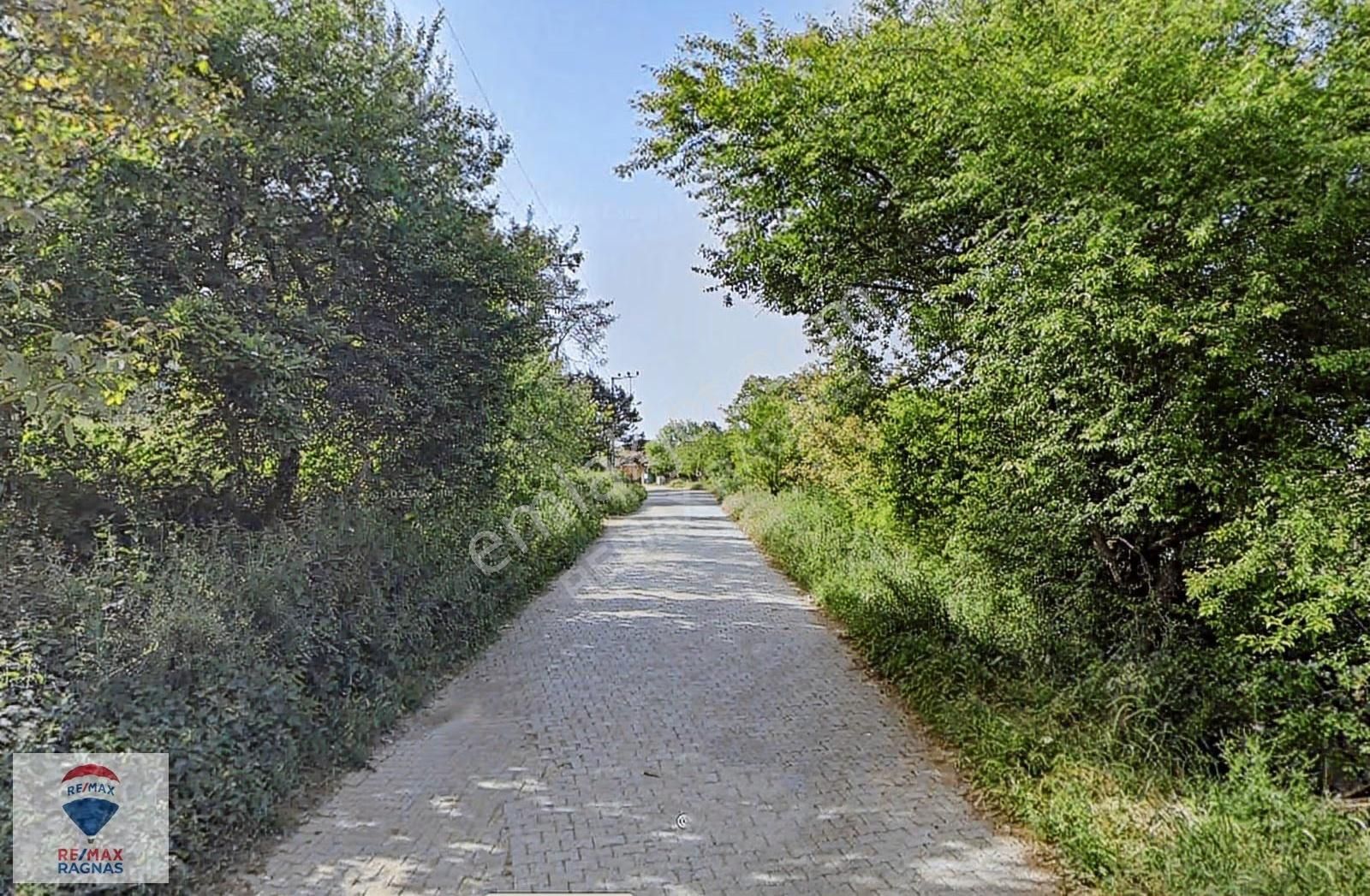 Yatırımlık Kandıra Teksen Mah Resmi Yola Cephe 4069 M2 Tarla - Görsel 4