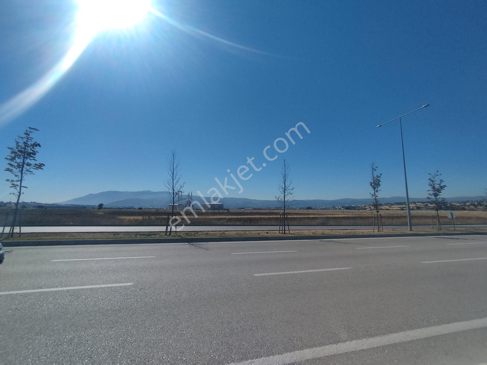 Doğanköy De Yeni Asfalt Yola Cephe (sıfır) 5.600 M2 Köşe Tarla - Görsel 24