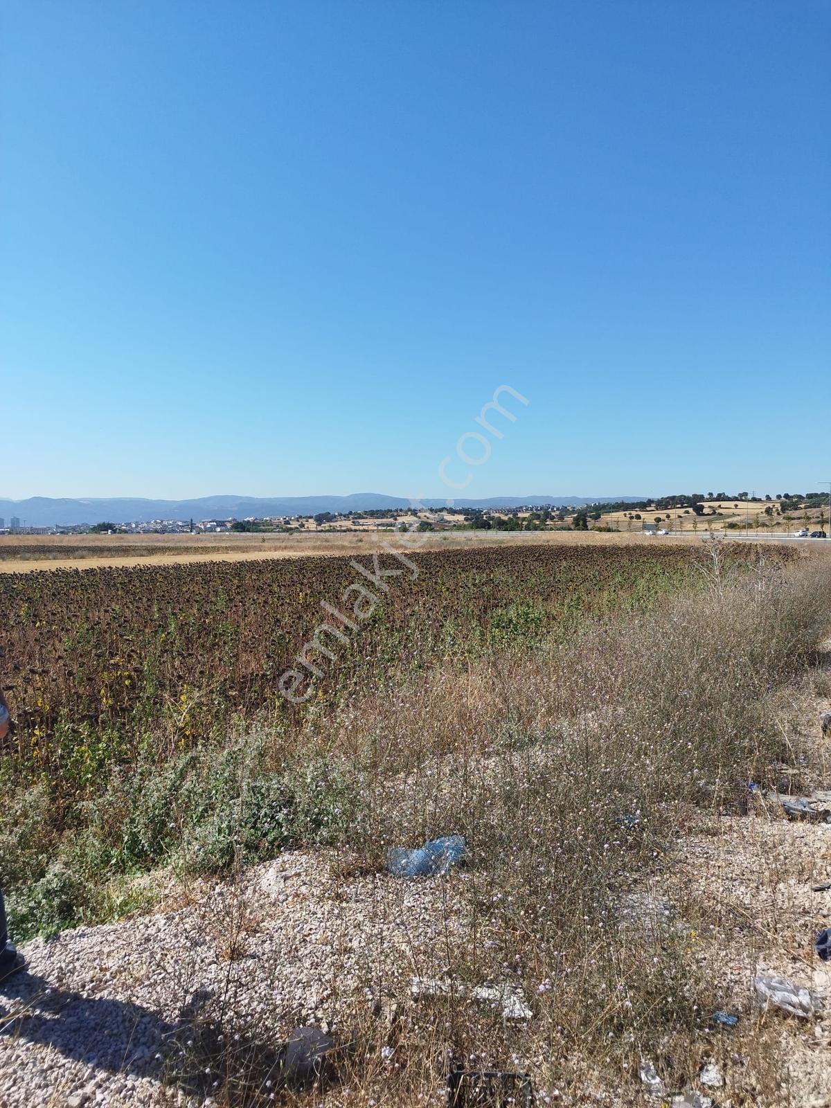 Doğanköy De Yeni Asfalt Yola Cephe (sıfır) 5.600 M2 Köşe Tarla - Görsel 7