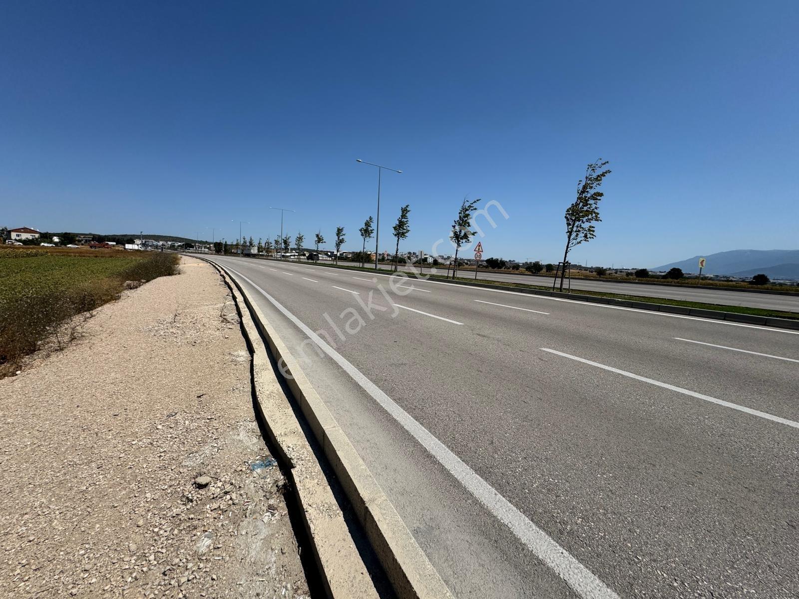 Doğanköy De Yeni Asfalt Yola Cephe (sıfır) 5.600 M2 Köşe Tarla - Görsel 16