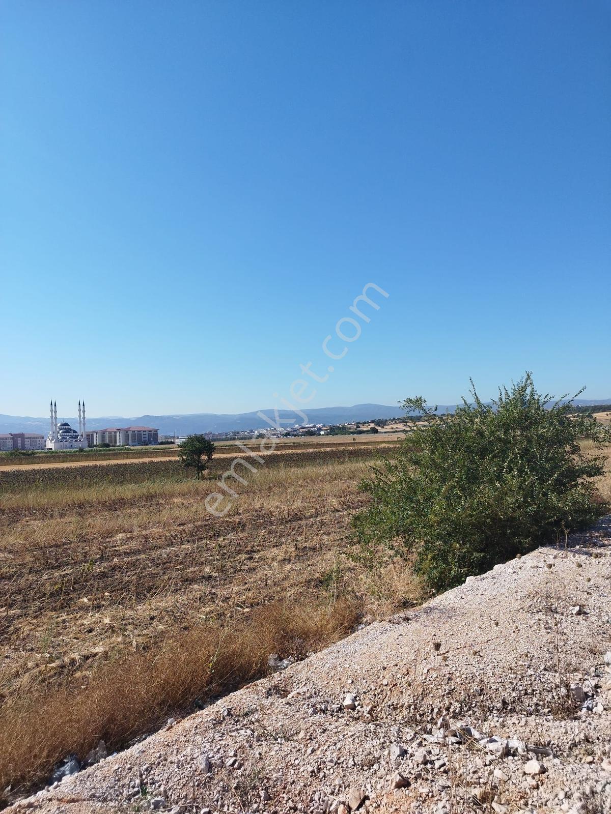 Doğanköy De Yeni Asfalt Yola Cephe (sıfır) 5.600 M2 Köşe Tarla - Görsel 9